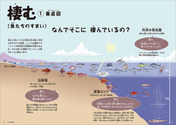 棲む（魚たちのすまい）　①垂直図　なんでそこに棲んでいるの？