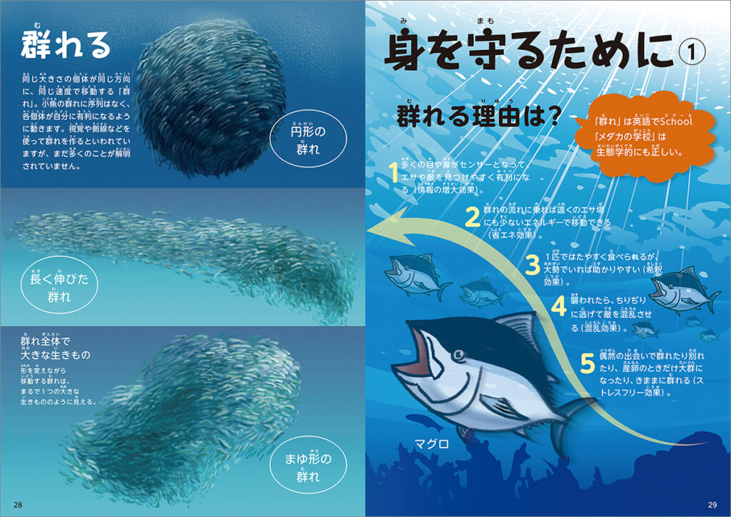 身を守るために ①群れる
