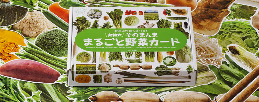 実物大・そのまんま まるごと野菜カード (群羊社のたのしい食育