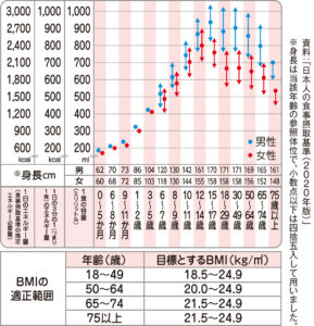 ピッタリサイズの弁当箱とは？