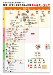 適量・バランスチェックポスター「エネルギーマップ」