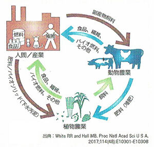 動物農業と植物農業における共生・補完的な役割