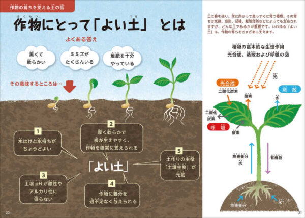 作物にとって「よい土」とは