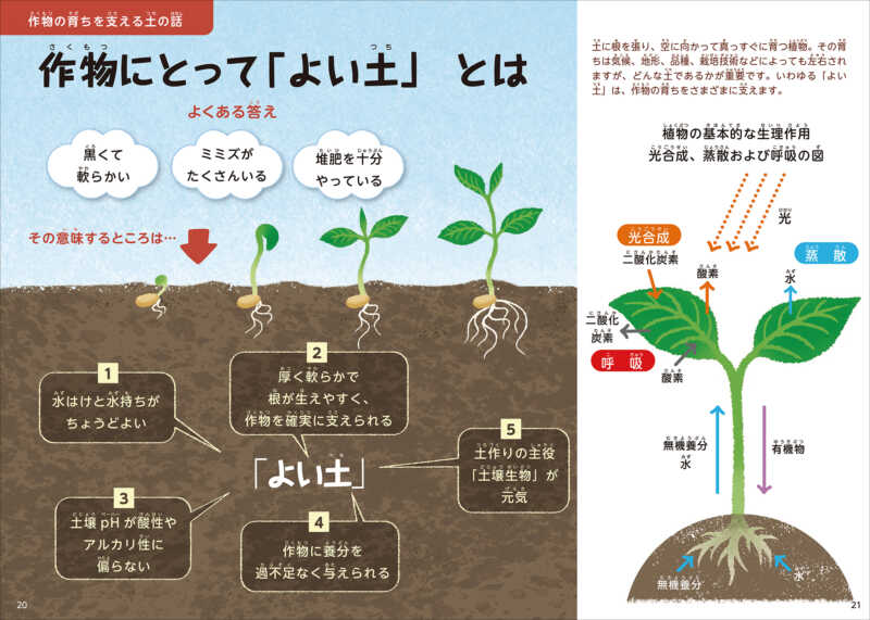 作物にとって「よい土」とは