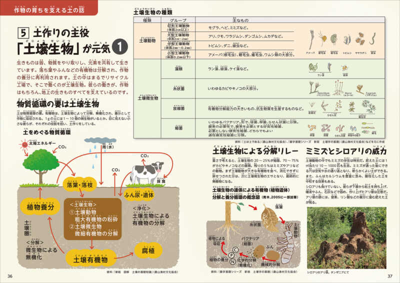 5⃣土作りの主役「土壌生物」が元気①