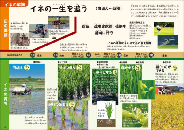 イネの教え　下巻　ともに生きる - 画像 (5)